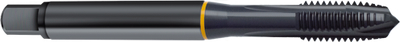 2892.jpg