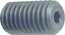 4904.jpg