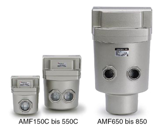 amf-standard.jpg