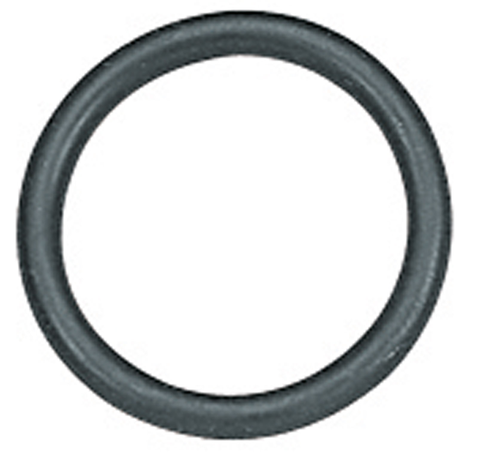 1095454-446236791.jpg