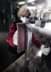 Bild von EXPERT N880 Vliesrolle zum Handschleifen, 115 mm x 10 m, Reinigung