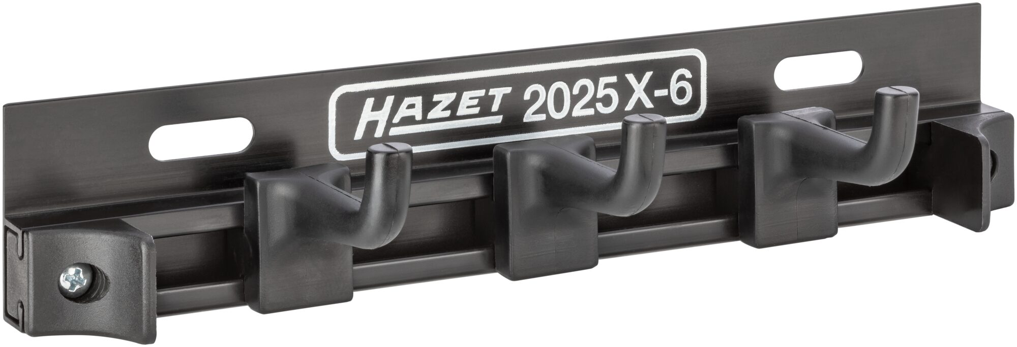 2025x-6_4.jpg