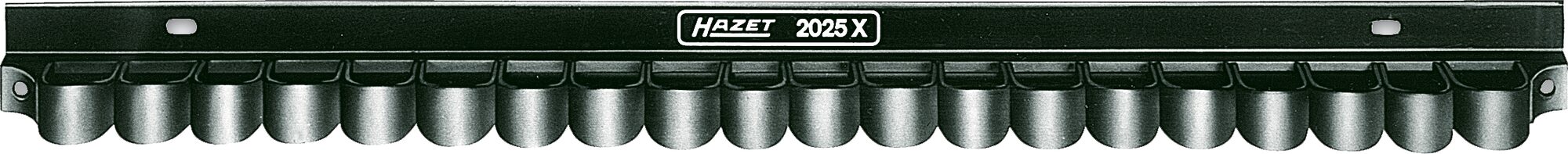 2025x.jpg