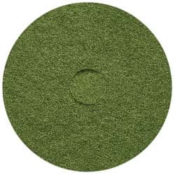 Bild von Scheuer-Pad Cleancraft grün 20"/50,8cm