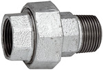 TFV-341-10.jpg