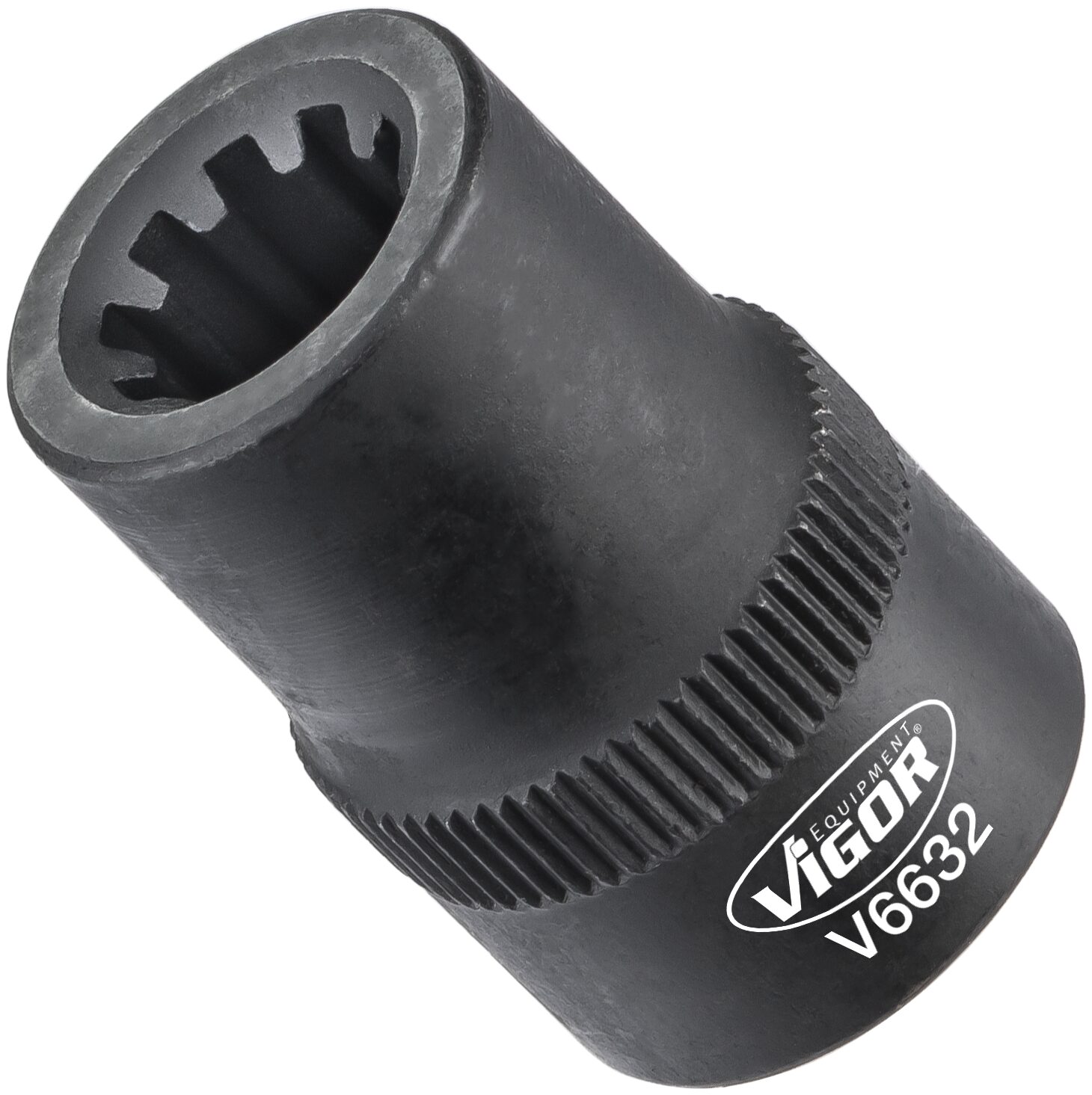 v6632.jpg