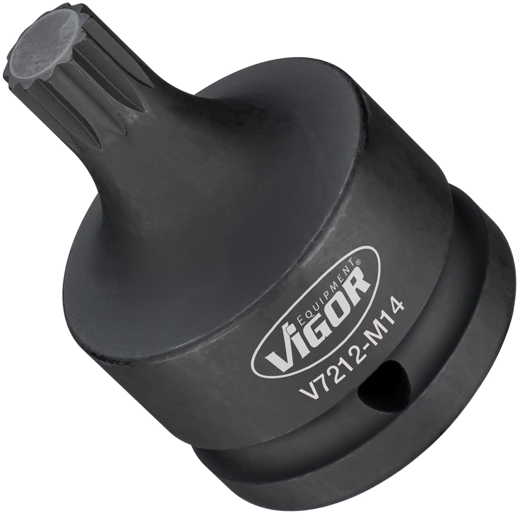 v7212m14.jpg