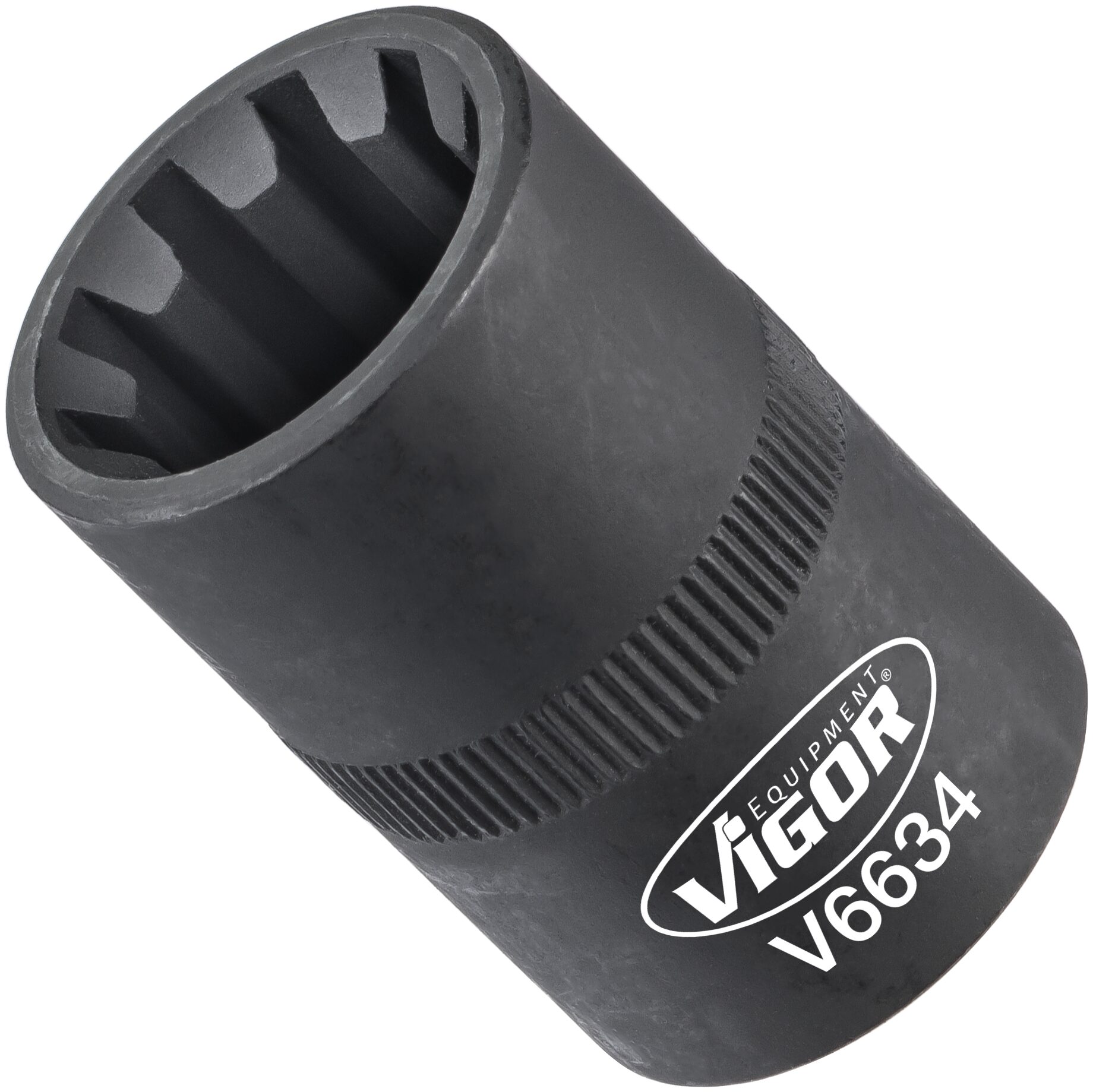 v6634.jpg