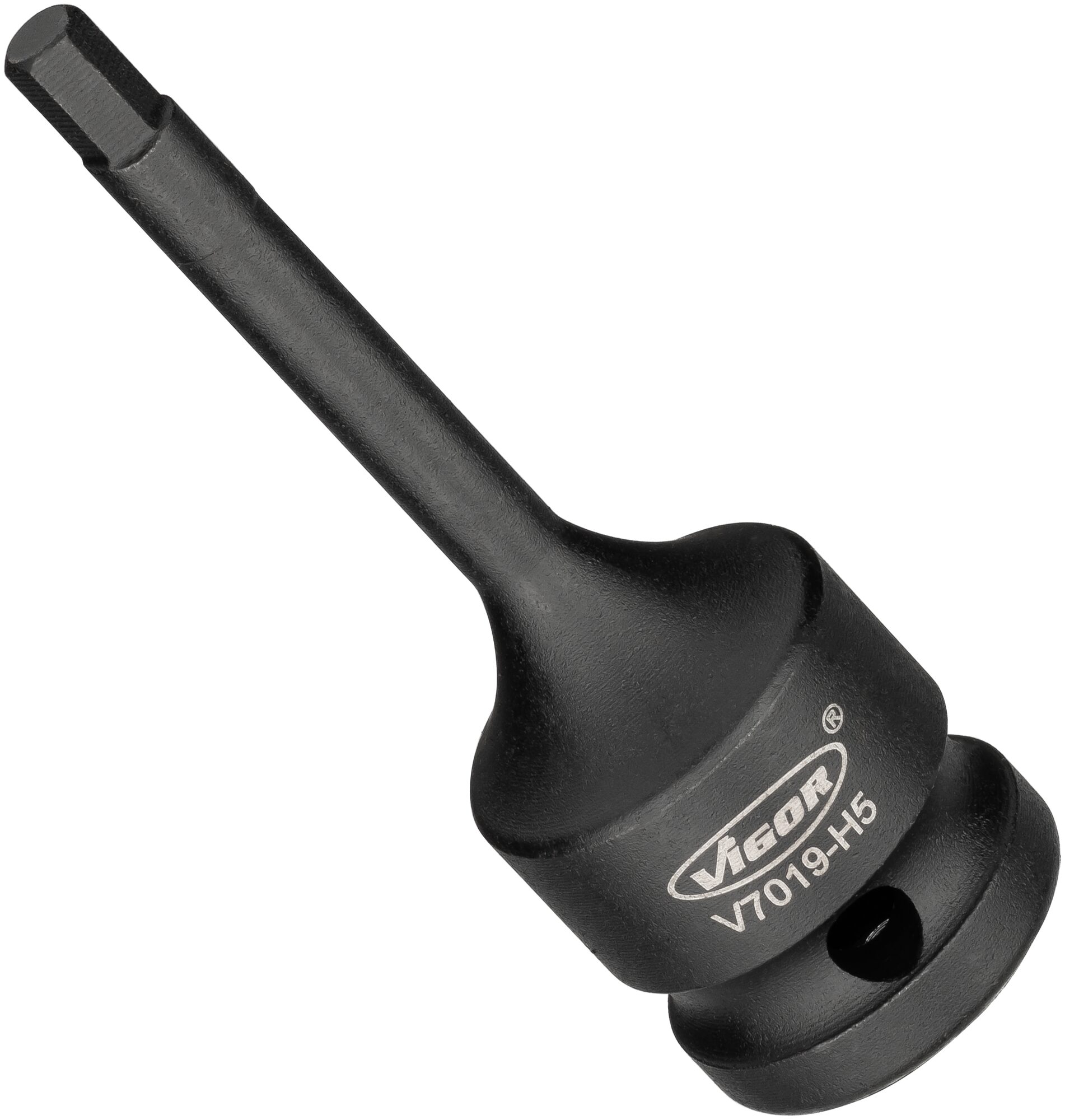 v7019h5.jpg