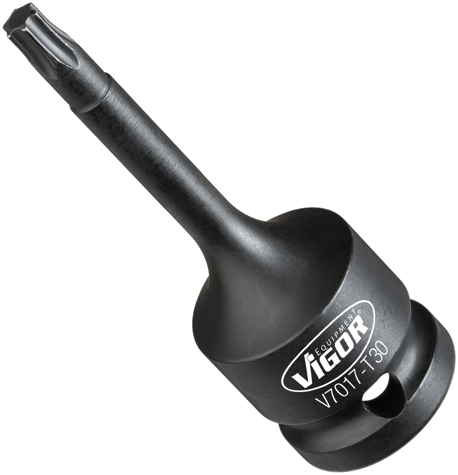 v7017t30.jpg