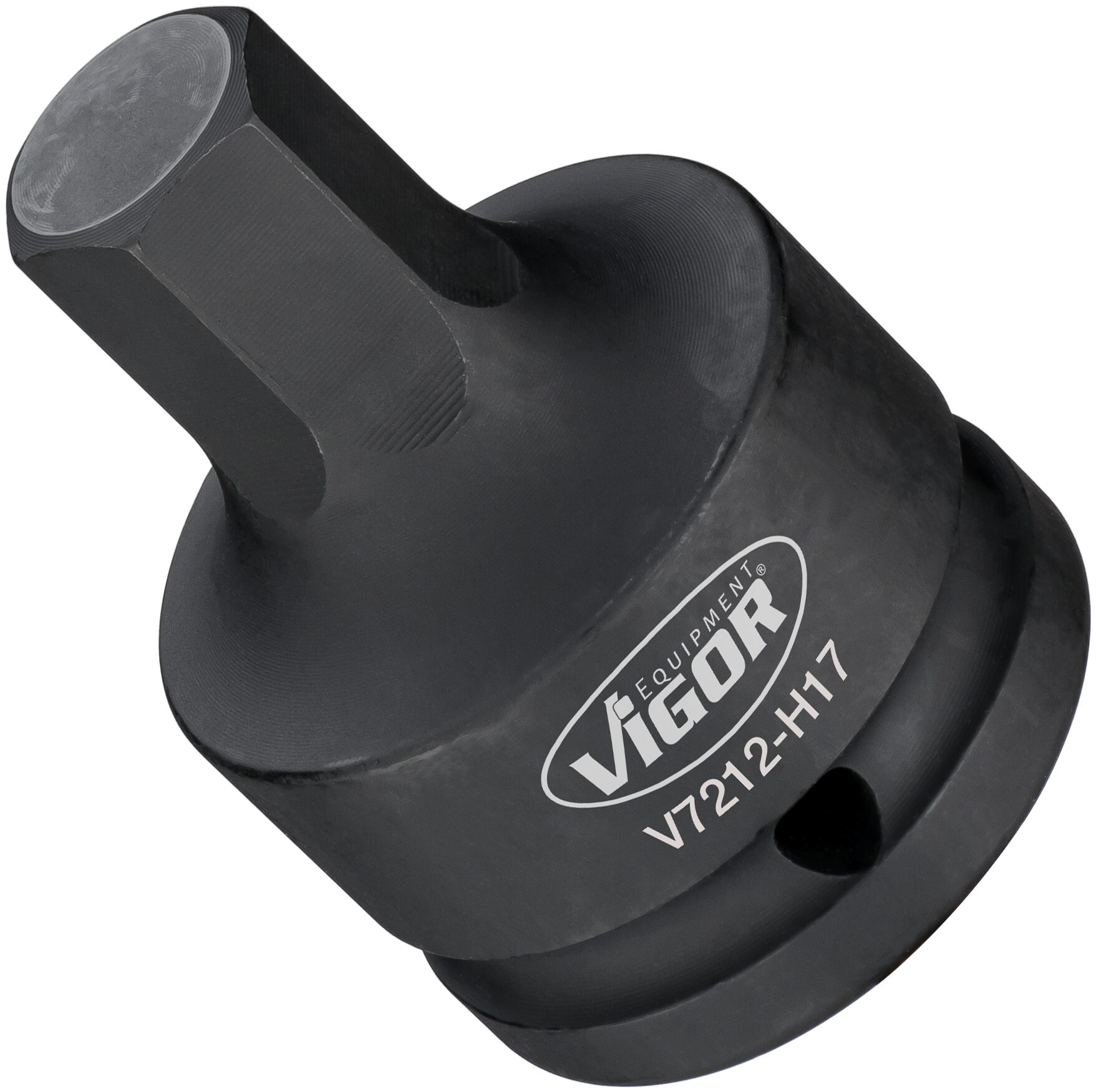 v7212h17.jpg