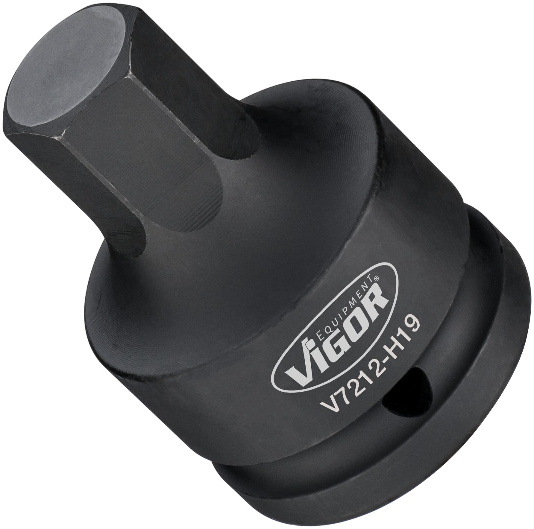 v7212h19.jpg