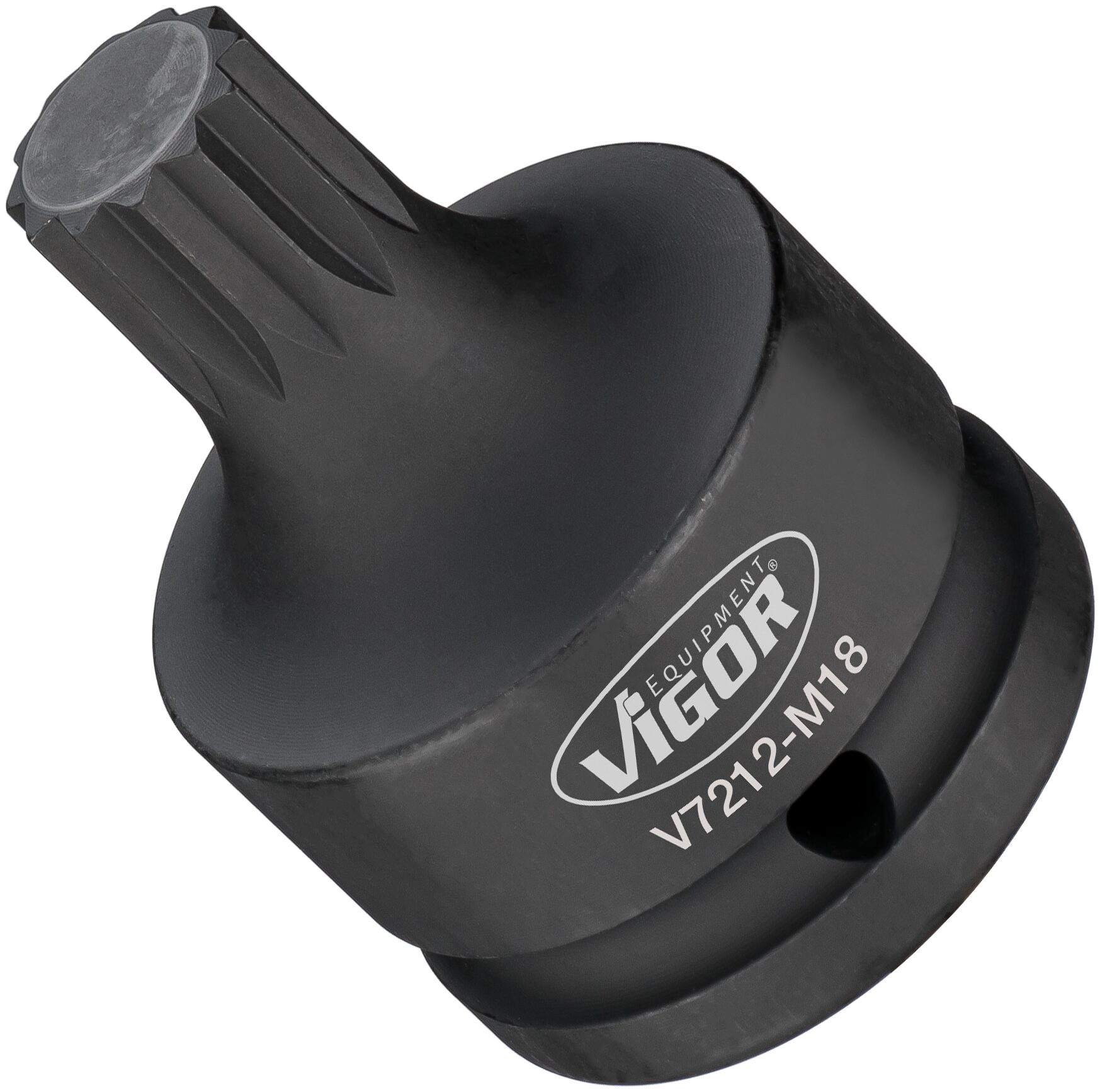 v7212m18.jpg