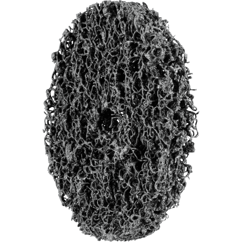 pcls-10013-13-rgb-2.png