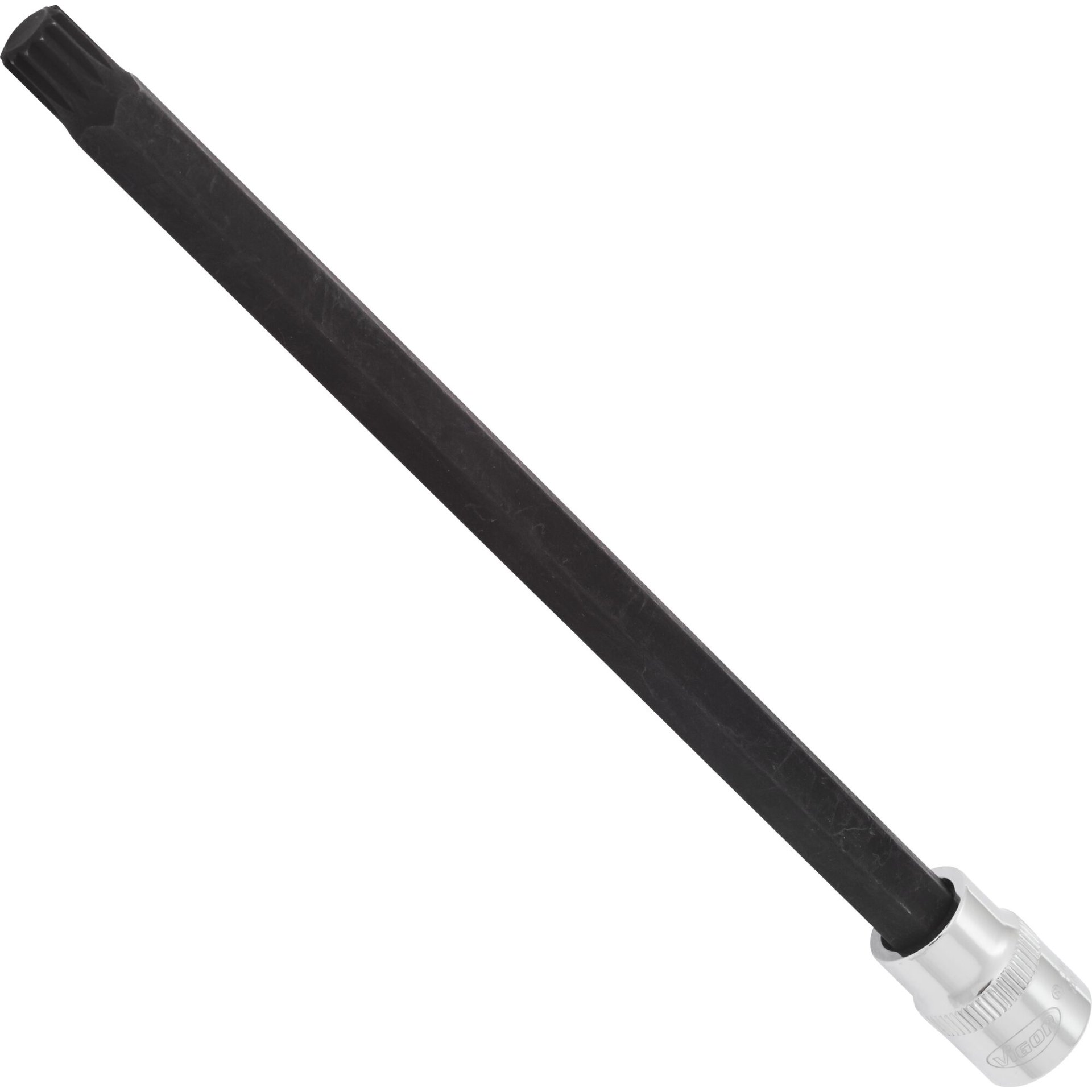 VIGOR Schraubendrehereinsatz ∙ 3/8 Zoll (10 mm) Vierkant hohl ∙ Innen Vielzahn Profil XZN