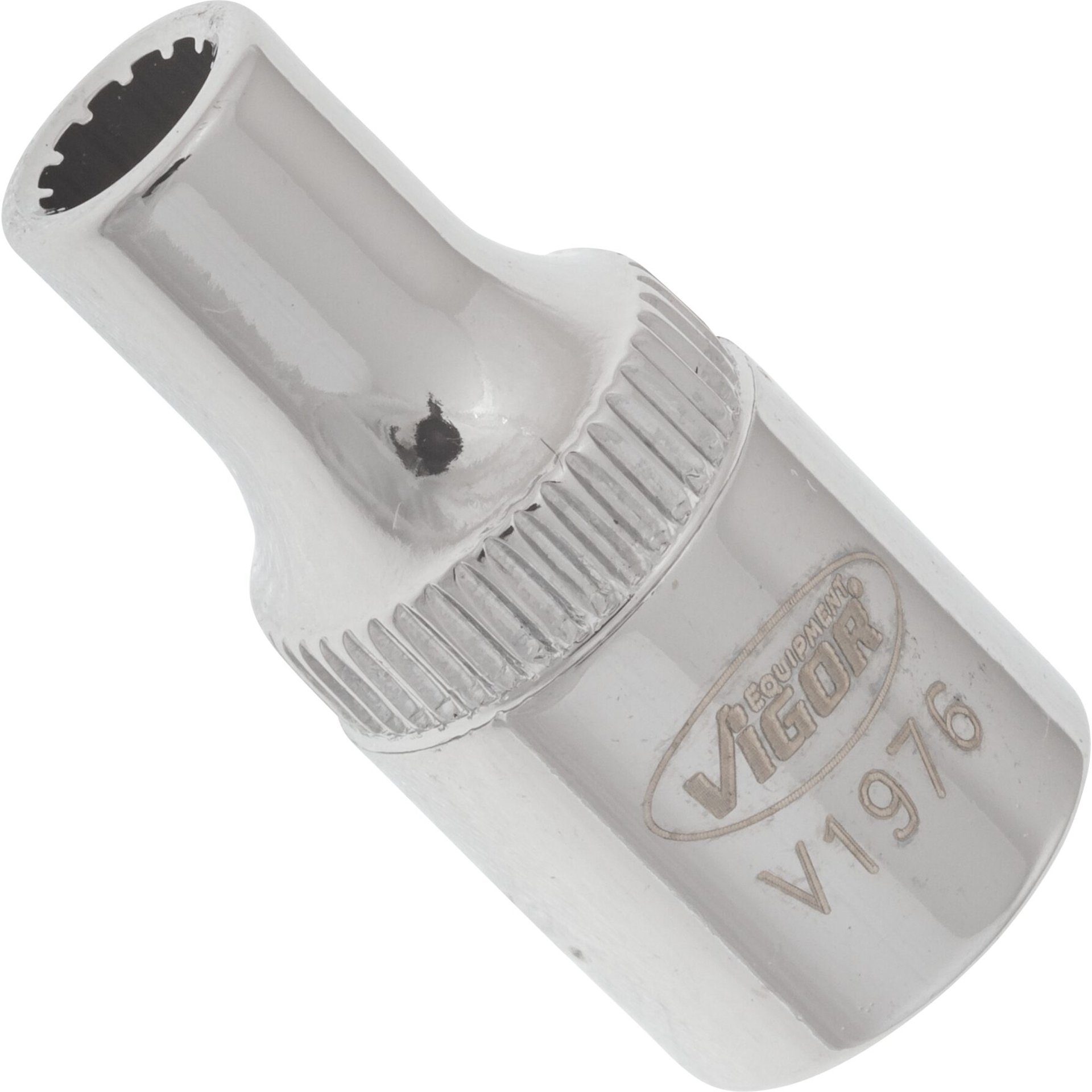 VIGOR Steckschlüsseleinsatz ∙ Vierkant hohl ∙ Multiprofil