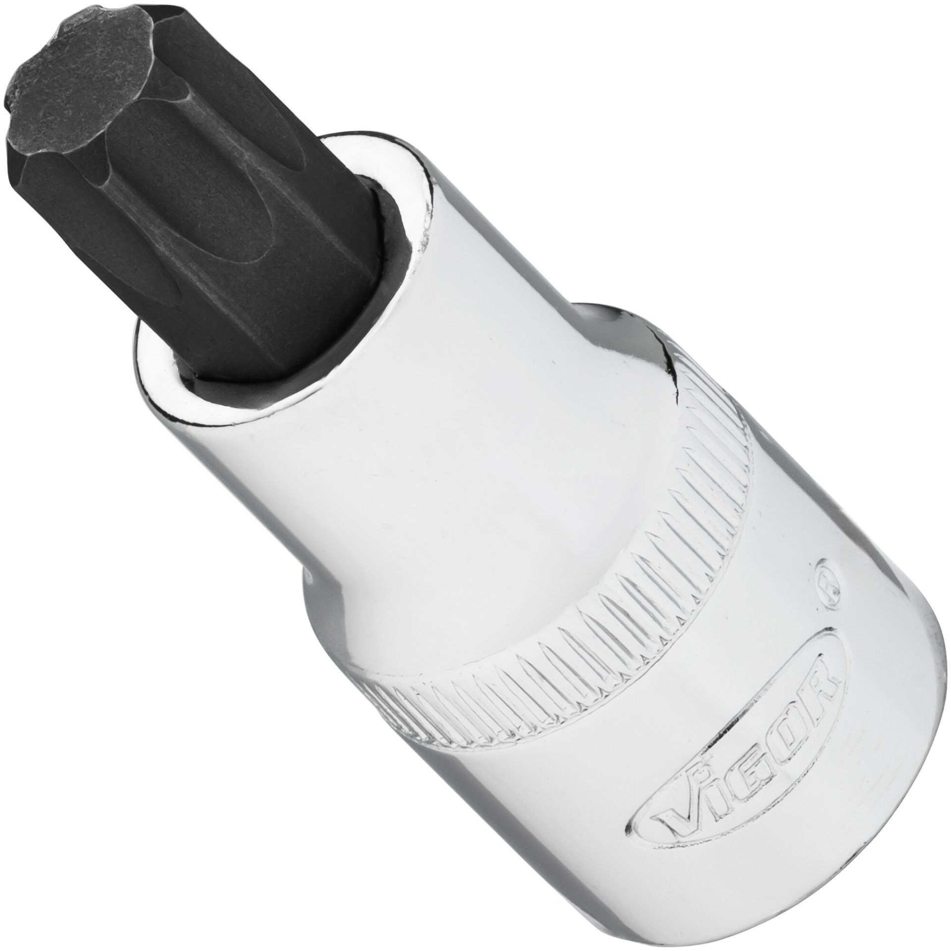VIGOR Steckschlüsseleinsatz ∙ V2198N ∙ 1/2 Zoll (12,5 mm) Vierkant hohl ∙ Innen TORX® Profil ∙ SW T55
