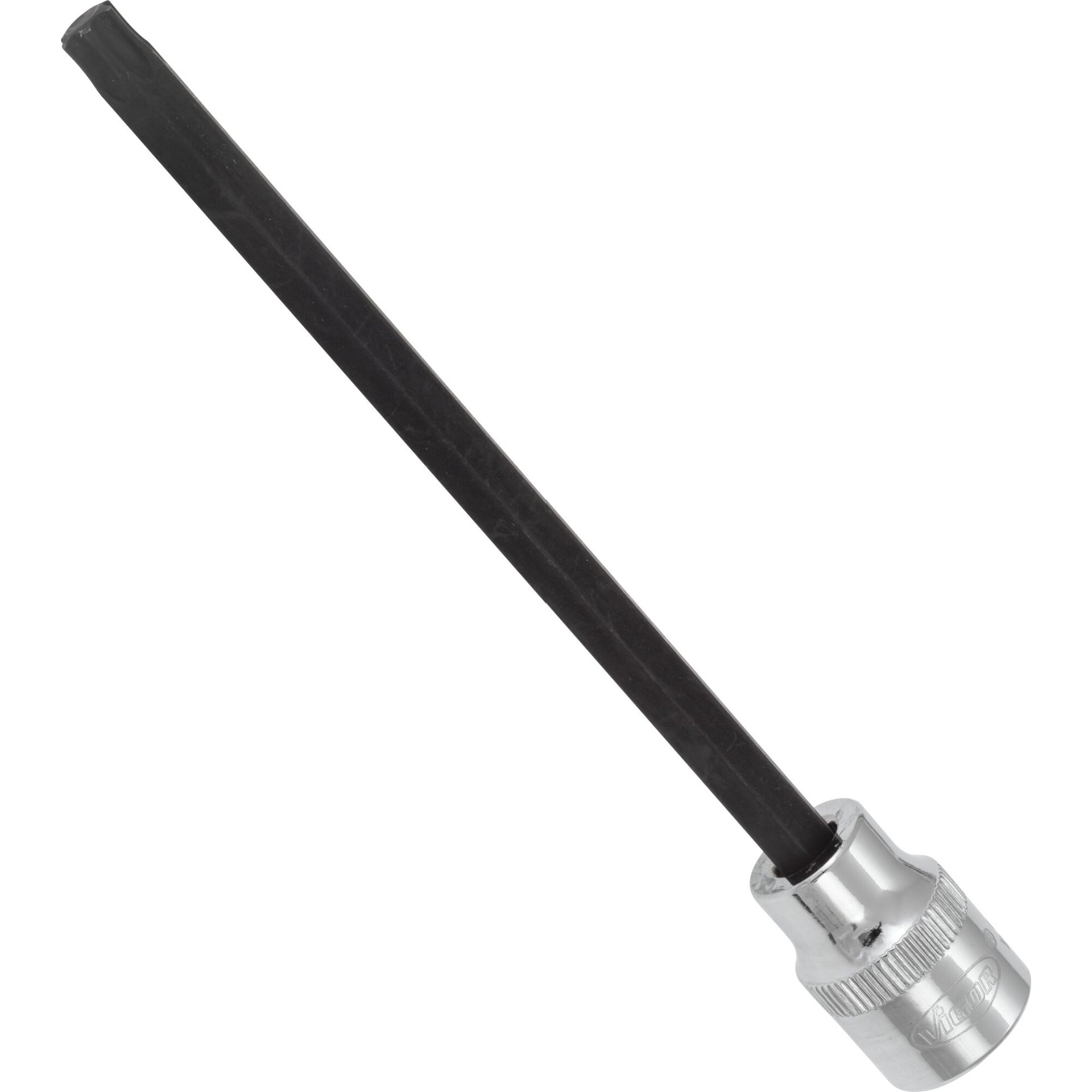 VIGOR Schraubendrehereinsatz ∙ 3/8 Zoll (10 mm) Vierkant hohl ∙ Innen TORX® Profil