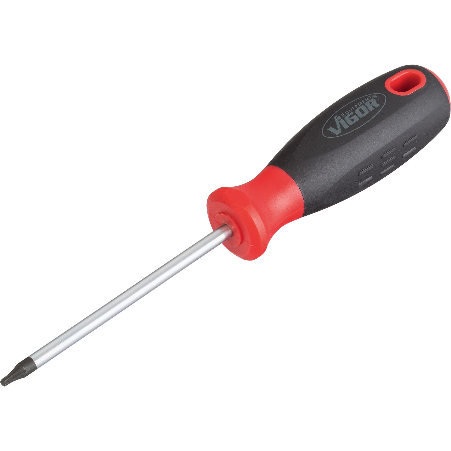 VIGOR Schraubendreher ∙ V3367 ∙ Innen TORX® Profil ∙ SW T10