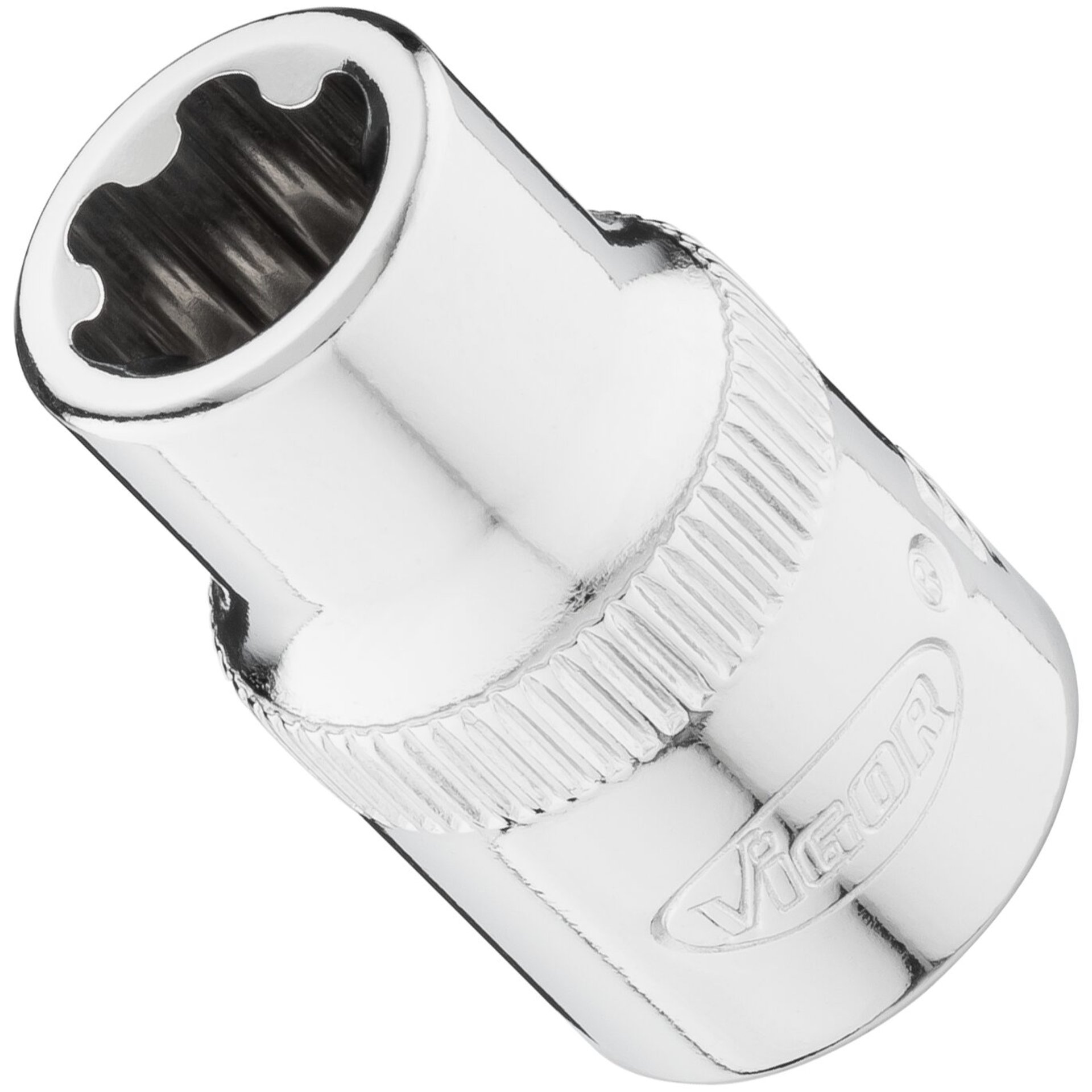 VIGOR Steckschlüsseleinsatz ∙ V7920-EP ∙ 3/8 Zoll (10 mm) Vierkant hohl ∙ Außen TORX® Plus Profil