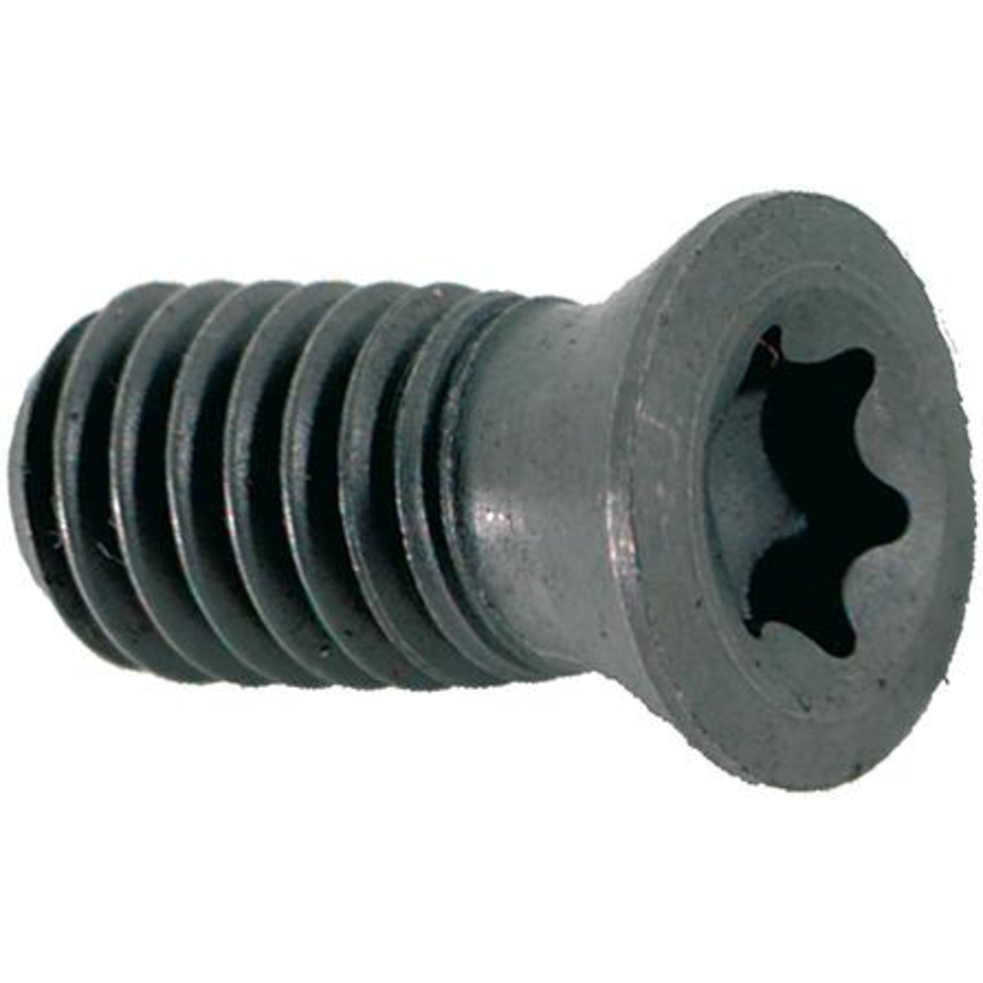 TORX®-Schraube für WSP