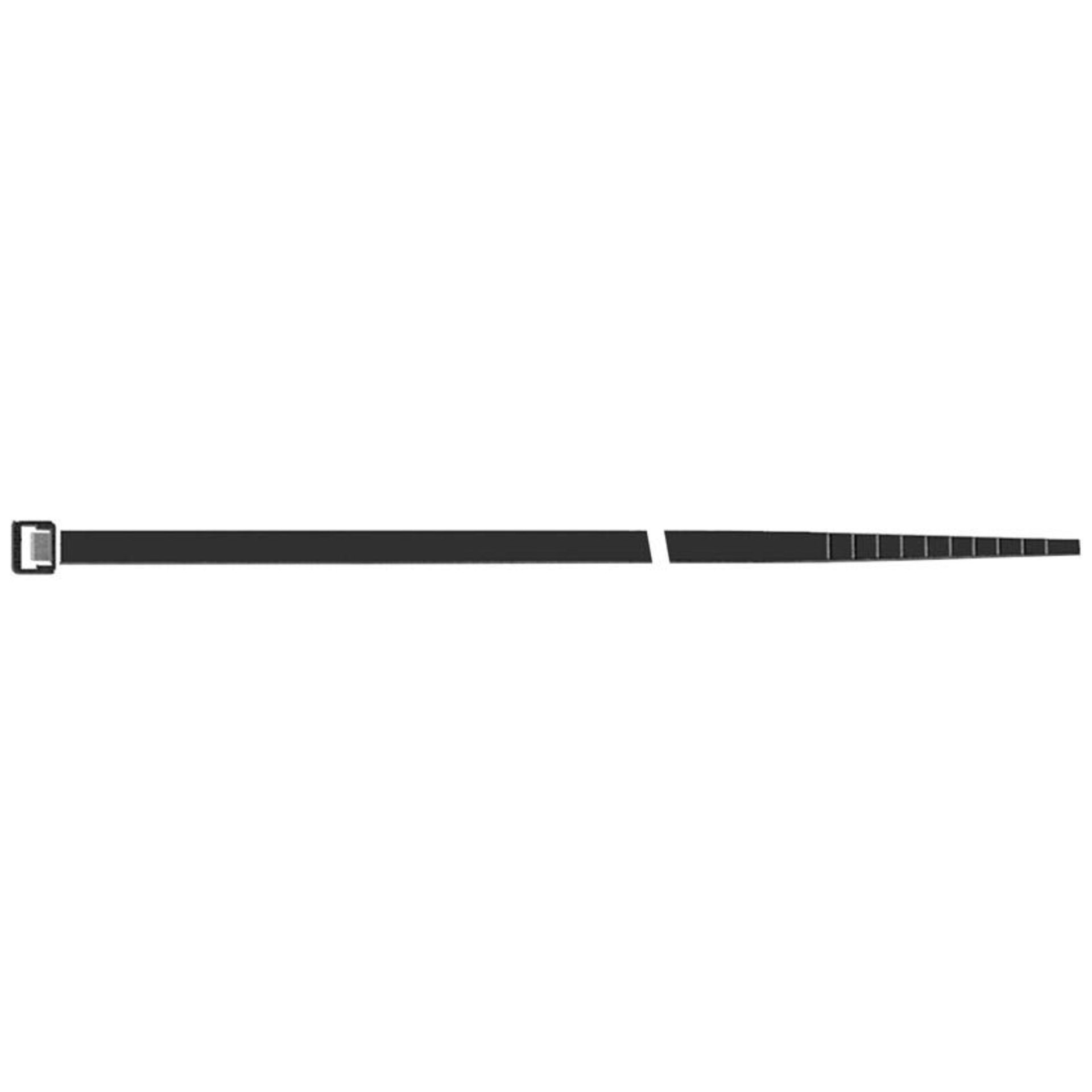 Kabelbinder Nylon schwarz100x2,5mm a100Stück SapiSelco
