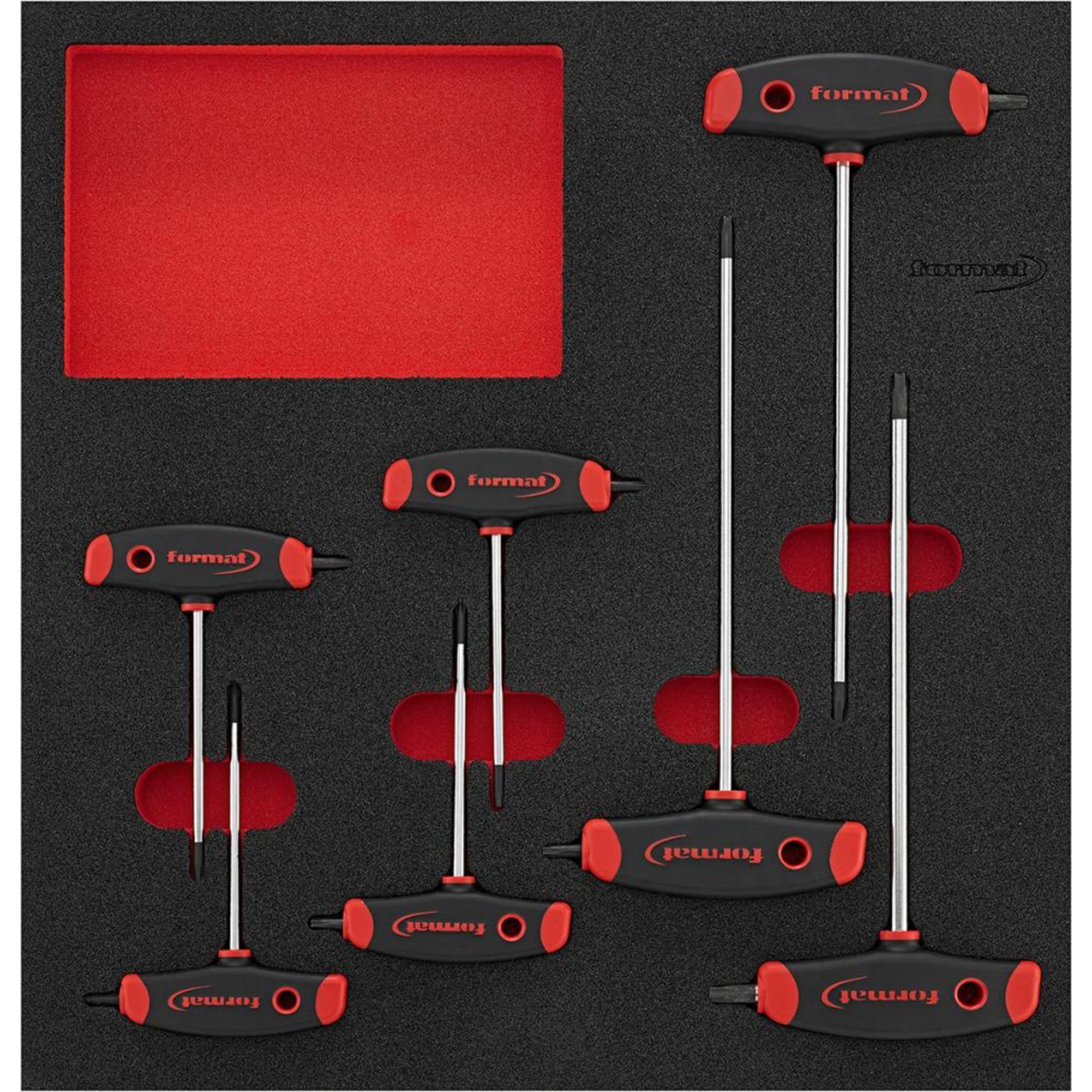 Werkzeugmodul 2/3 T-Griff Torx mit Seitenabtrieb FORMAT