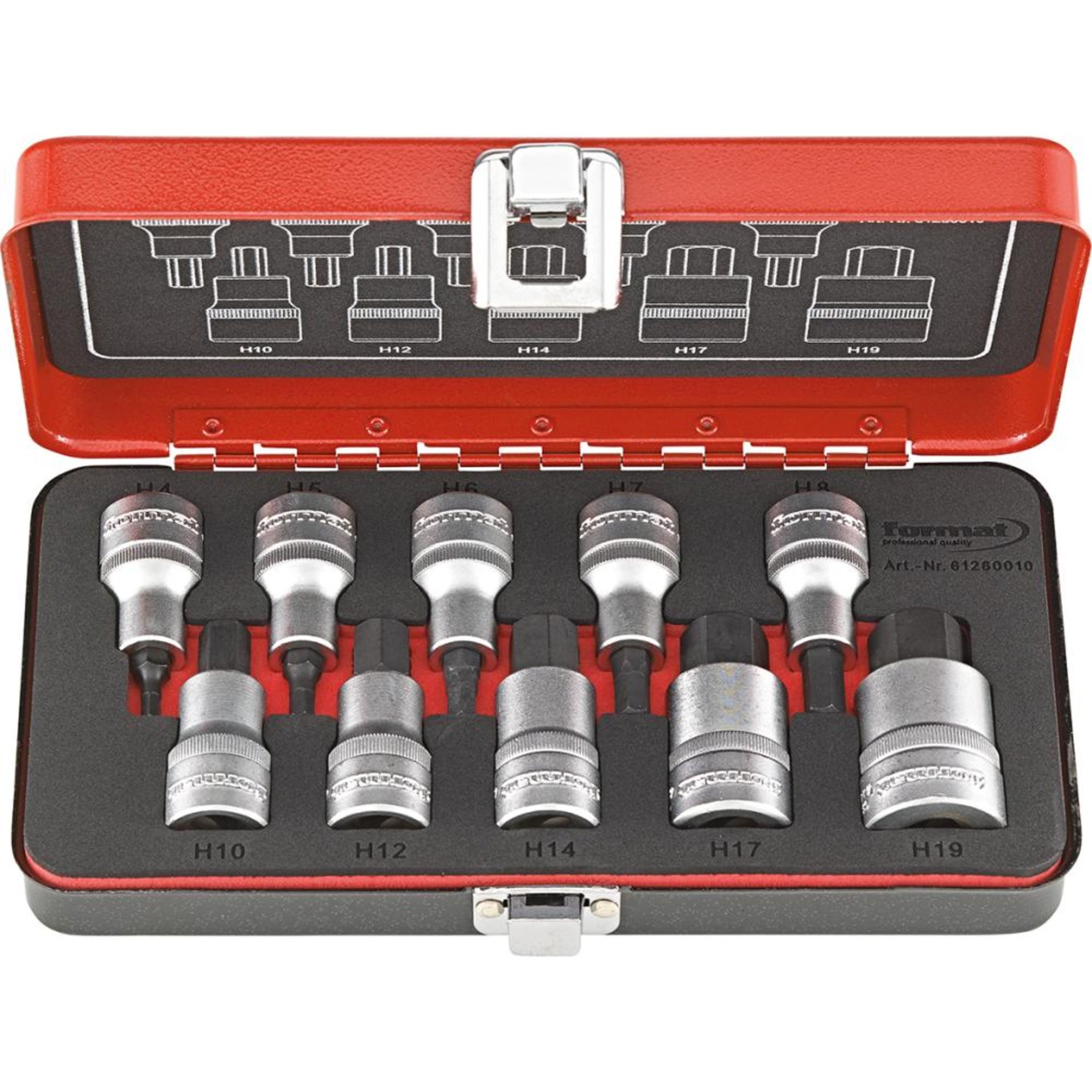 Schraubendrehereinsatz- Satz 1/2" Innensechskant 4-19mm 10-teilig FORMAT