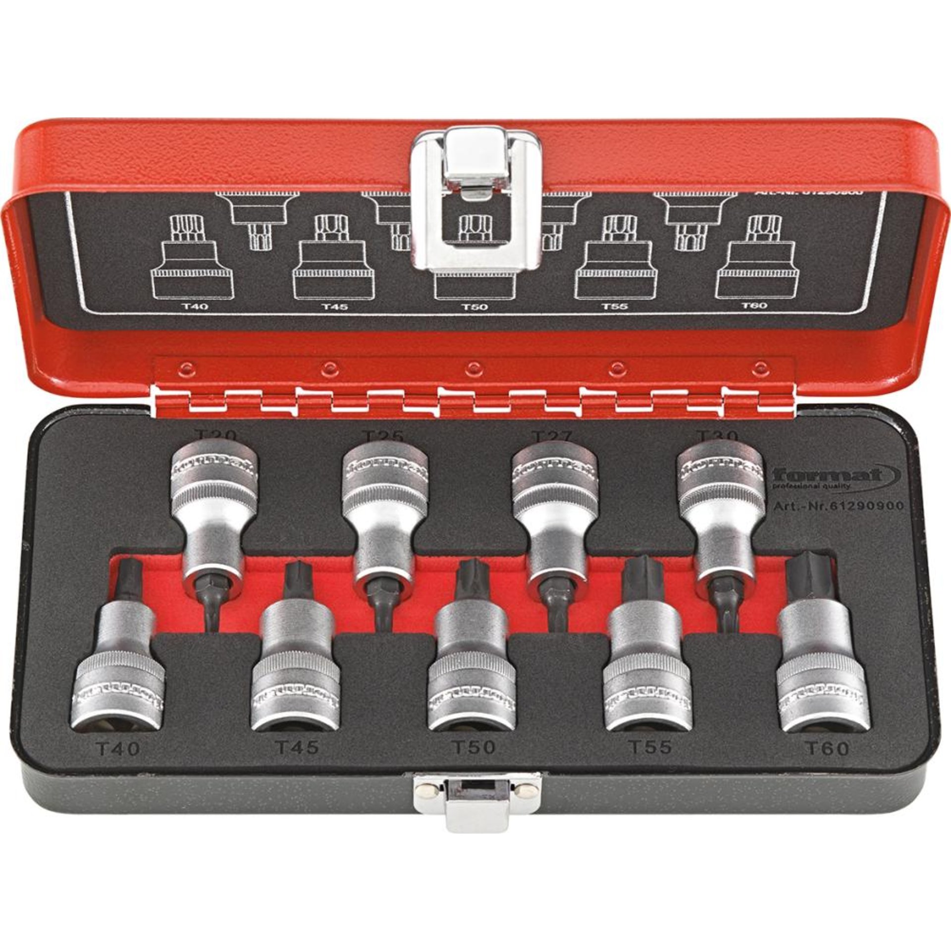 Schraubendrehereinsatz- Satz 1/2" T20 bis T60 9-teilig FORMAT