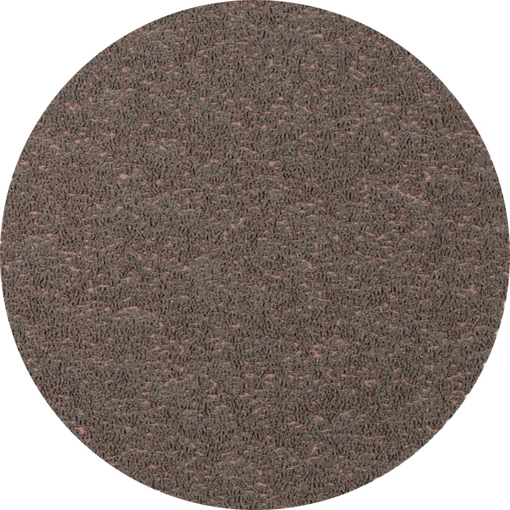 293089-1692868339.jpg