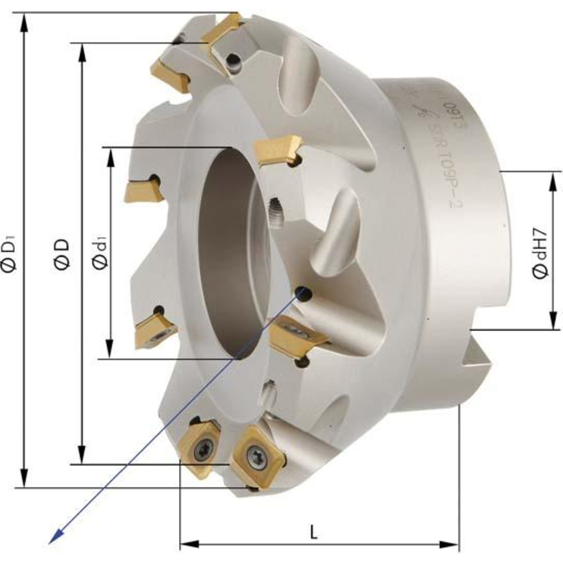 Aufsteck-Planfräser D100mm Z10 für SEMT09T3 FORMAT