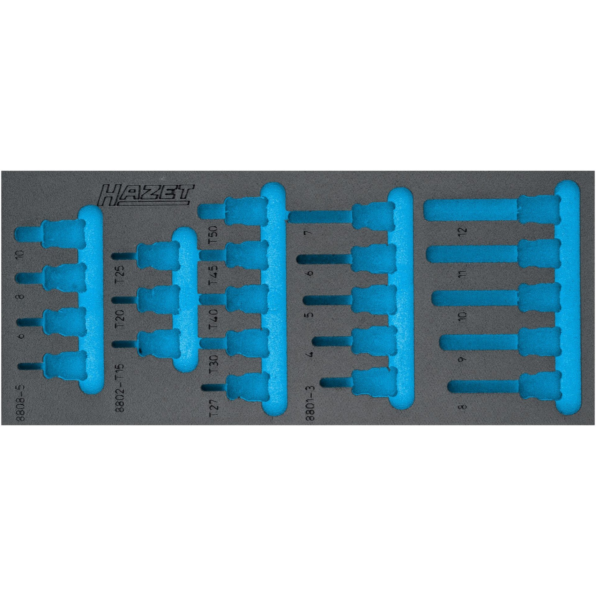 08 ∙ Leereinlage ∙ „Safety-Insert-System“ 163L ∙ 1/3+ ∙ 172 x 392 mm)