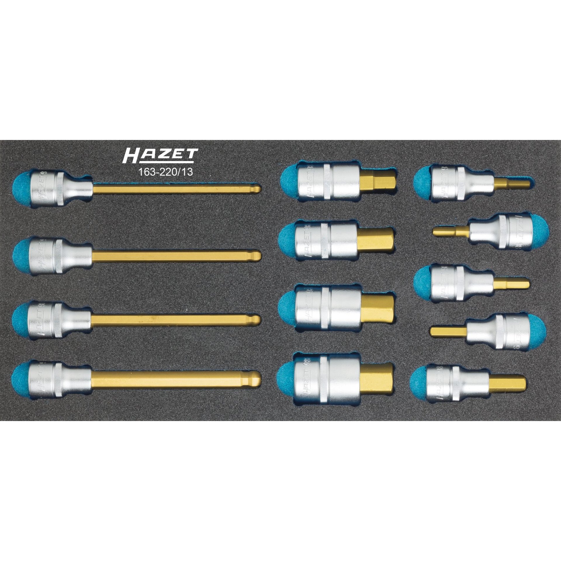 HAZET Schraubendreher-Steckschlüsseleinsatz Satz 163-220/13 ∙ 1/2 Zoll (12,5 mm) Vierkant hohl ∙ Innen Sechskant Profil ∙ 5 ∙ 6 ∙ 7 ∙ 8 ∙ 10 ∙ 12 ∙ 14 ∙ 17 ∙ 19 ∙ 6 ∙ 7 ∙ 8 ∙ 10 ∙ Anzahl Werkzeuge: 13