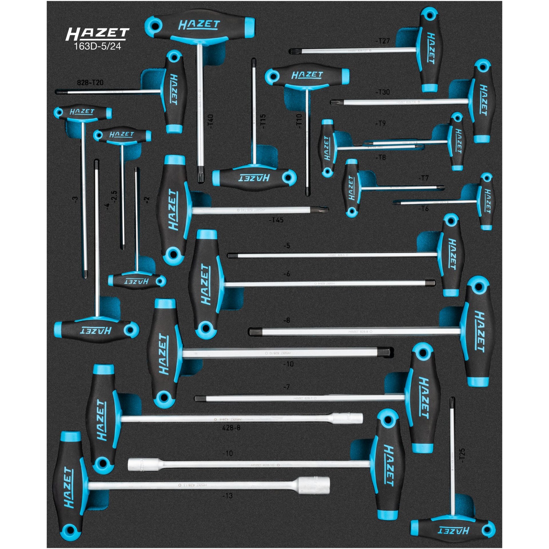 HAZET Jeu de clés à douilles ∙ avec manche en T 163D-5/24 ∙ 2 – 13 ∙ T6 – T45 ∙ Nombre d'outils : 24