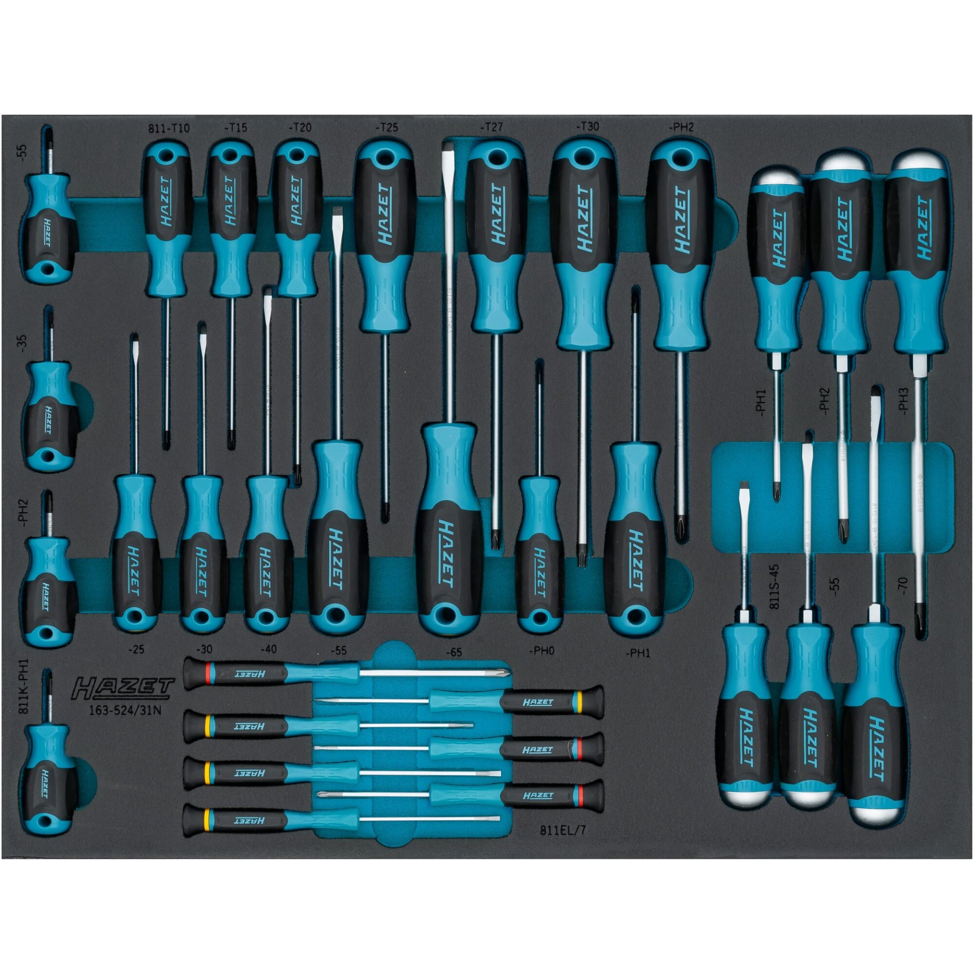 HAZET Jeu de tournevis 163-524/31 ∙ Profil à fente, Profil Phillips PH, Profil TORX® intérieur ∙ 0,3 x 1,5 – 1,2 x 7 ∙ PH00 – PH3 ∙ T10 – T30 ∙ Nombre d'outils : 31