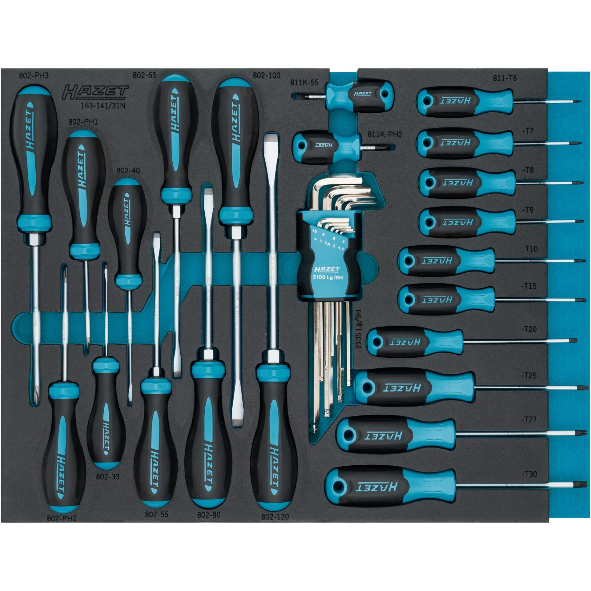 HAZET Jeu de tournevis 163-141/31 ∙ Profil Phillips PH, Profil à 6 pans intérieurs, Profil à fente, Profil TORX® intérieur ∙ 0,6 x 3,5 – 2 x 12 ∙ 1,5 – 10 ∙ PH1 – PH3 ∙ T6 – T30 ∙ Nombre d'outils : 31