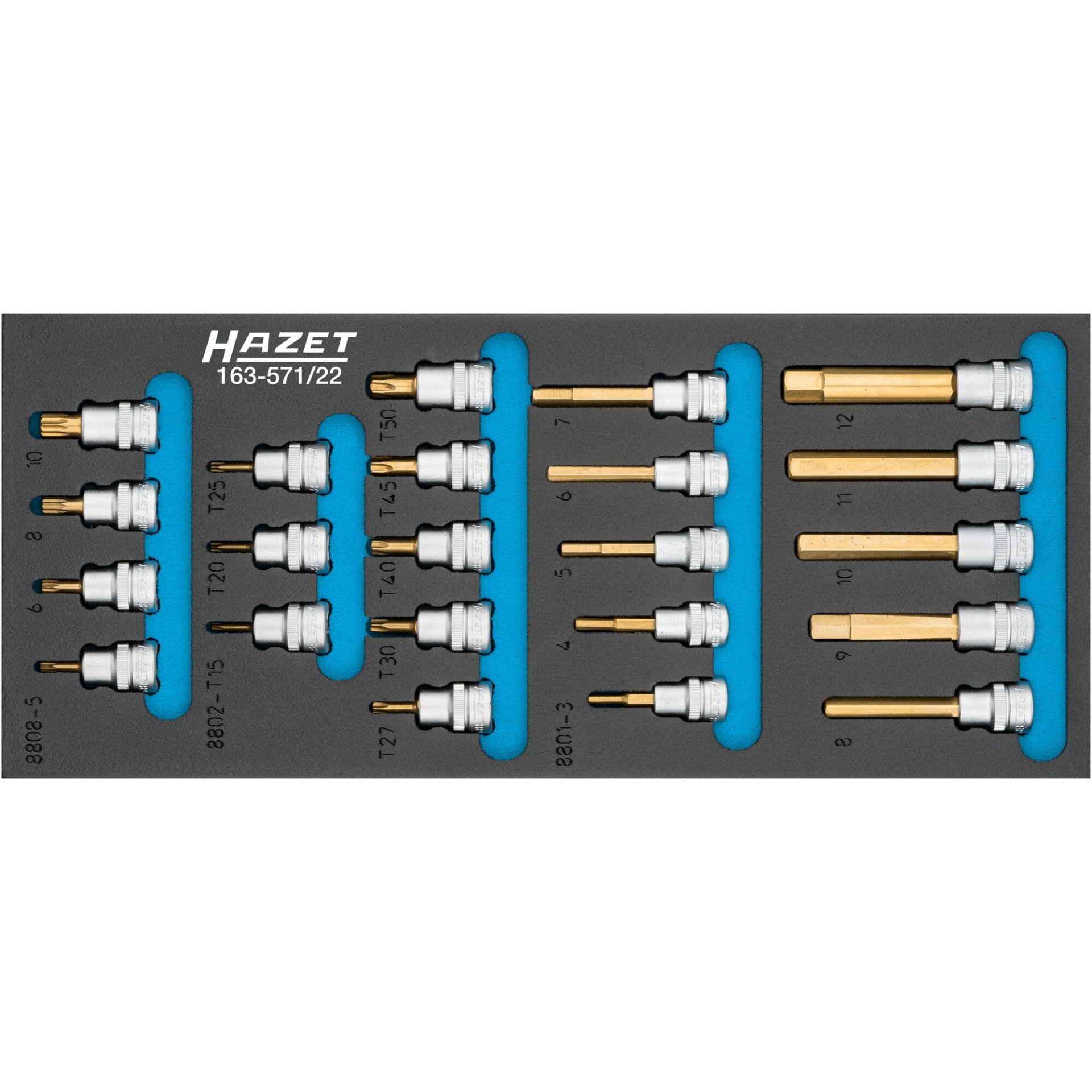 HAZET Jeu de douilles mâles 163-571/22 ∙ Carré creux 3/8 pouce (10 mm) ∙ Profil TORX® intérieur, Profil denture multiple intérieur XZN, Profil à 6 pans intérieurs ∙ 19 – 36 ∙ Nombre d'outils : 22