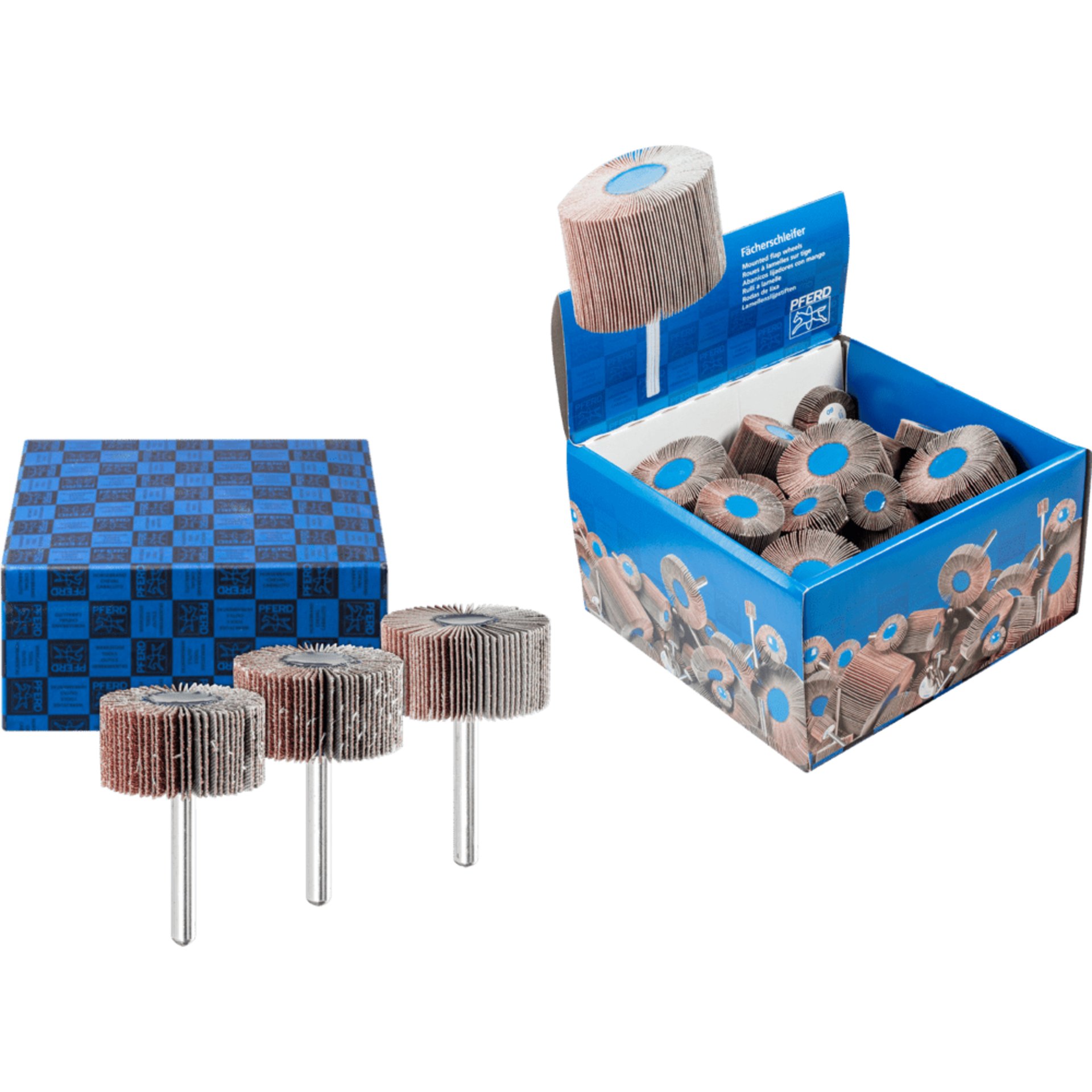 Fächerschleifer-Set