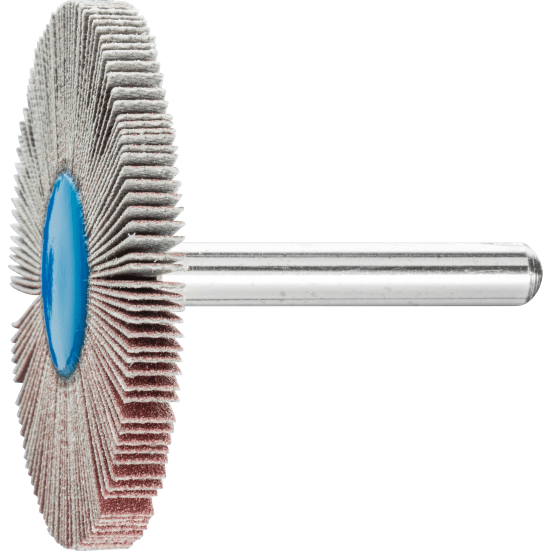 PFERD TOOLS Fächerschleifwerkzeuge F 5005/6 A 240