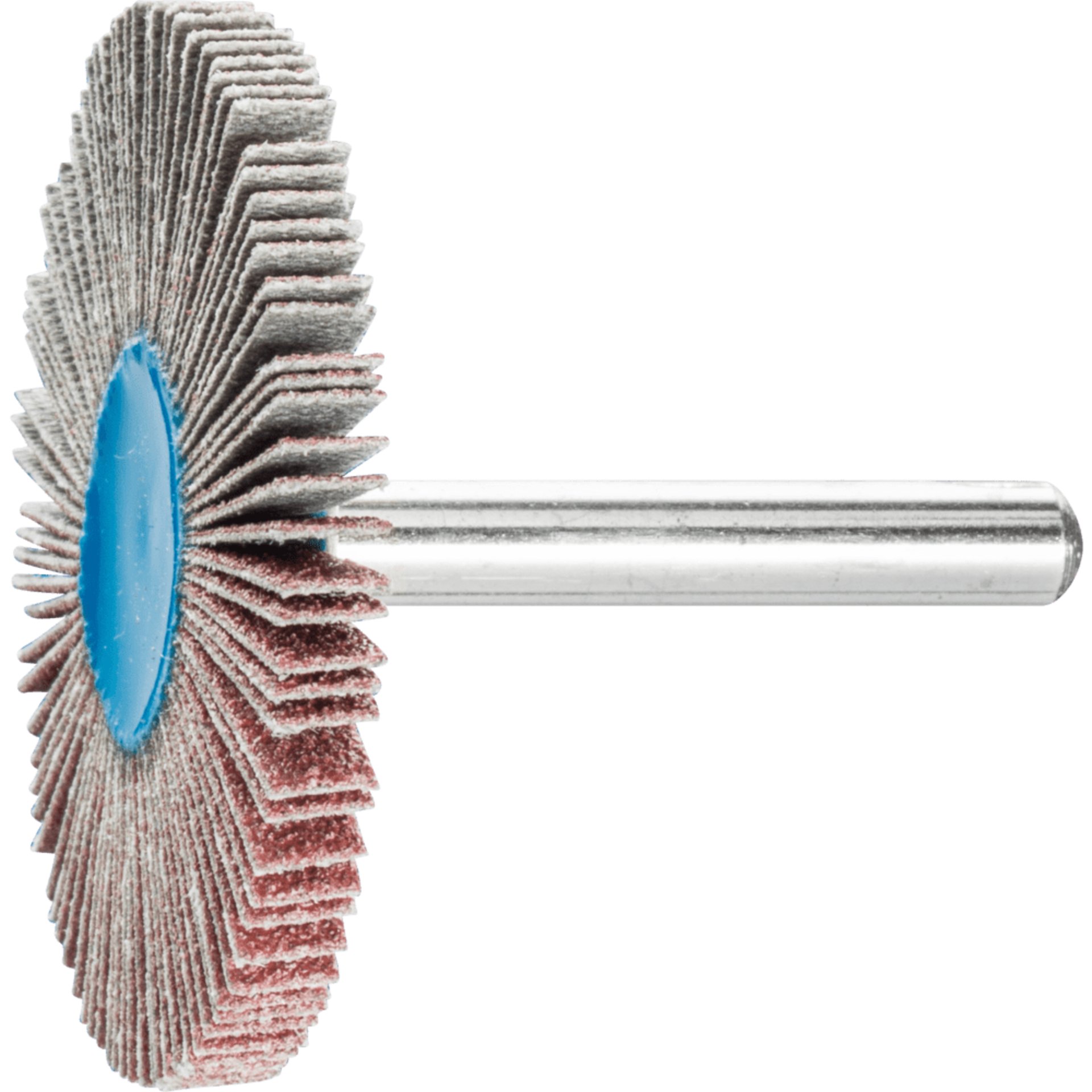 PFERD TOOLS Fächerschleifwerkzeuge F 5005/6 A 80