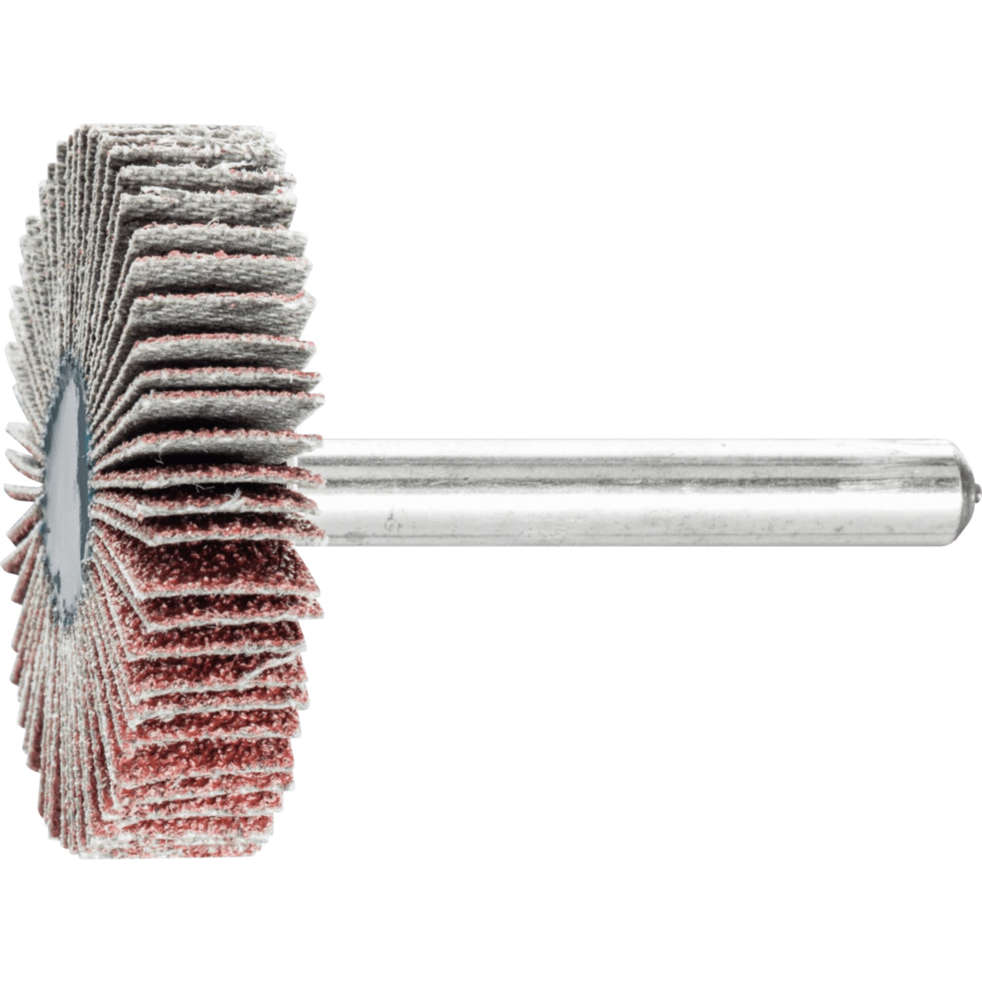 PFERD TOOLS Fächerschleifwerkzeuge F 4010/6 A 60