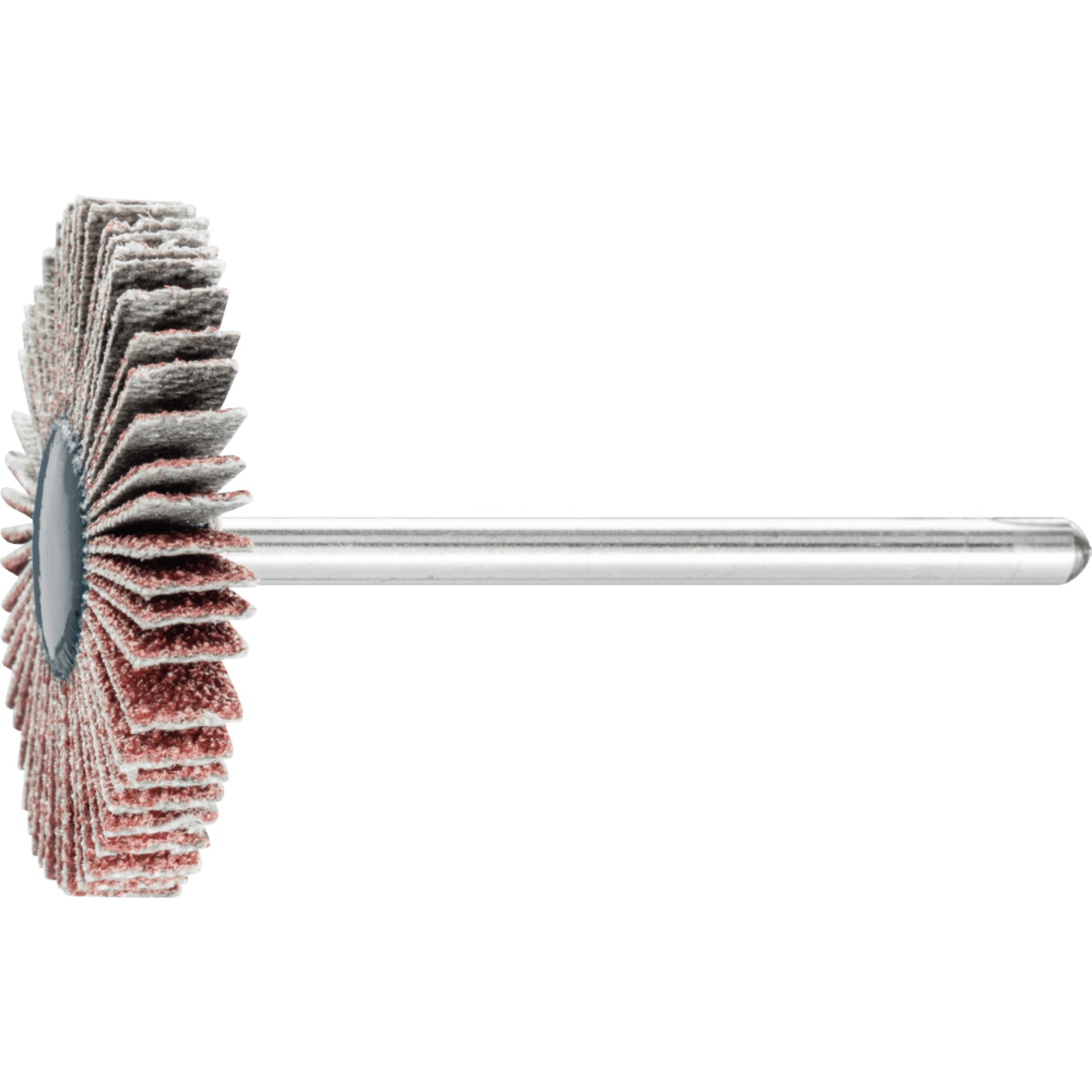 PFERD TOOLS Fächerschleifwerkzeuge F 3005/3 A 80
