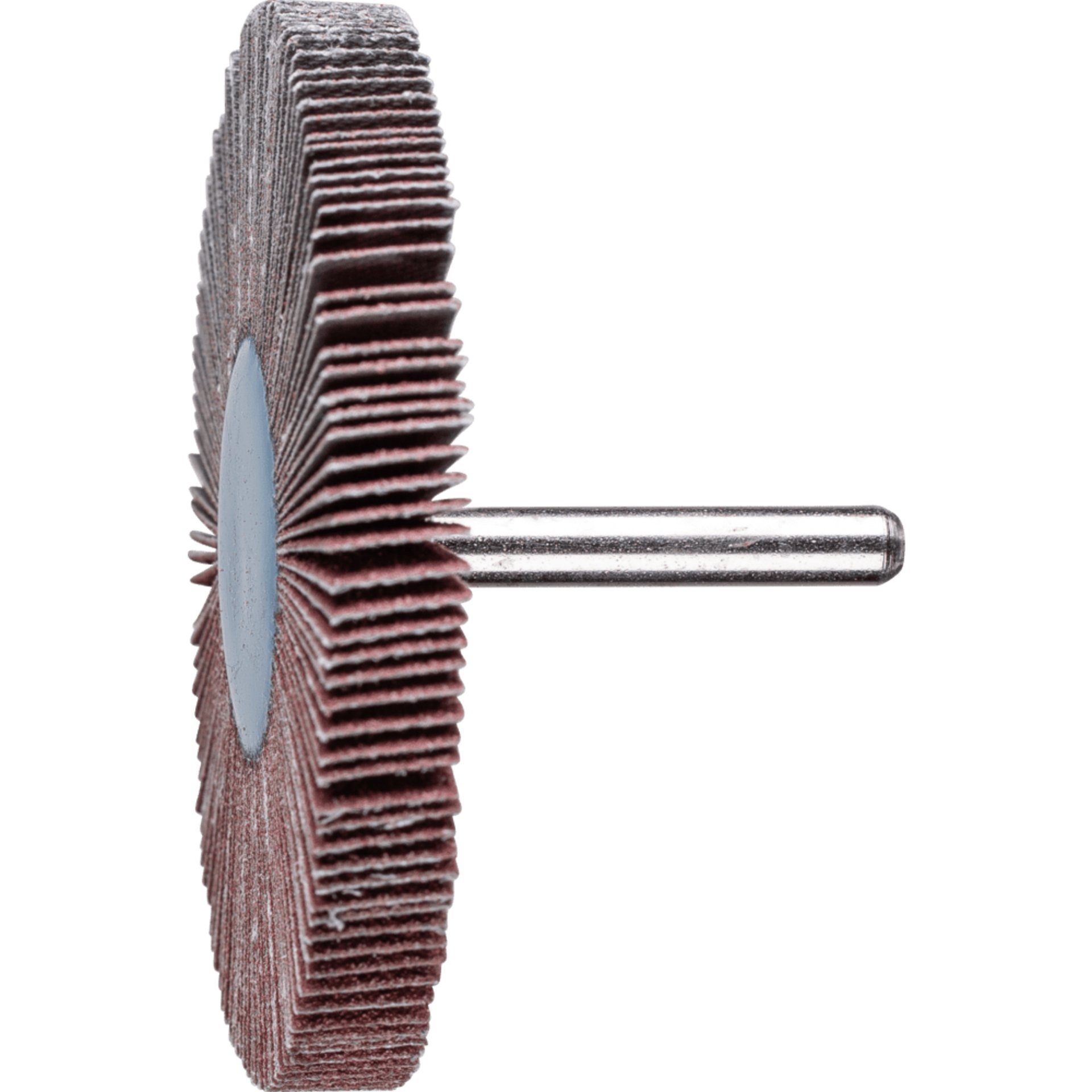 PFERD TOOLS Fächerschleifwerkzeuge F 8010/6 A 80