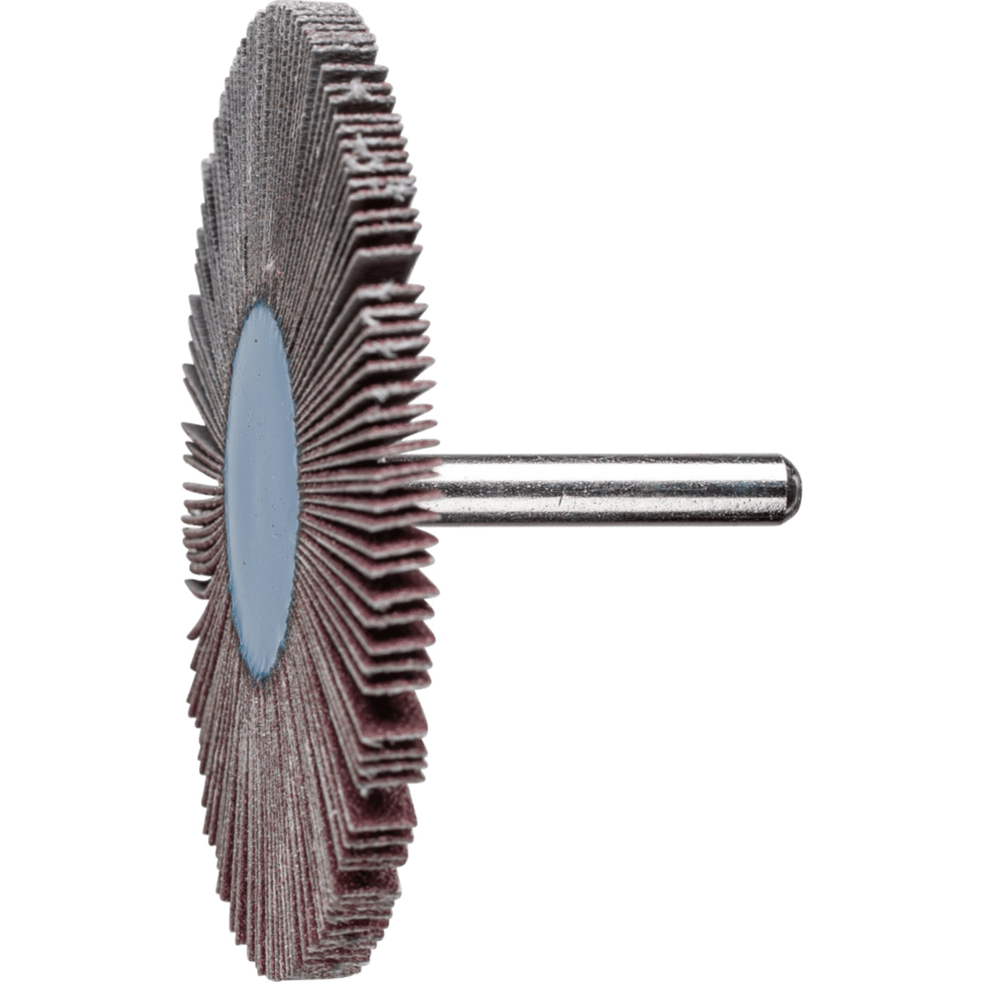 PFERD TOOLS Fächerschleifwerkzeuge F 8005/6 A 80