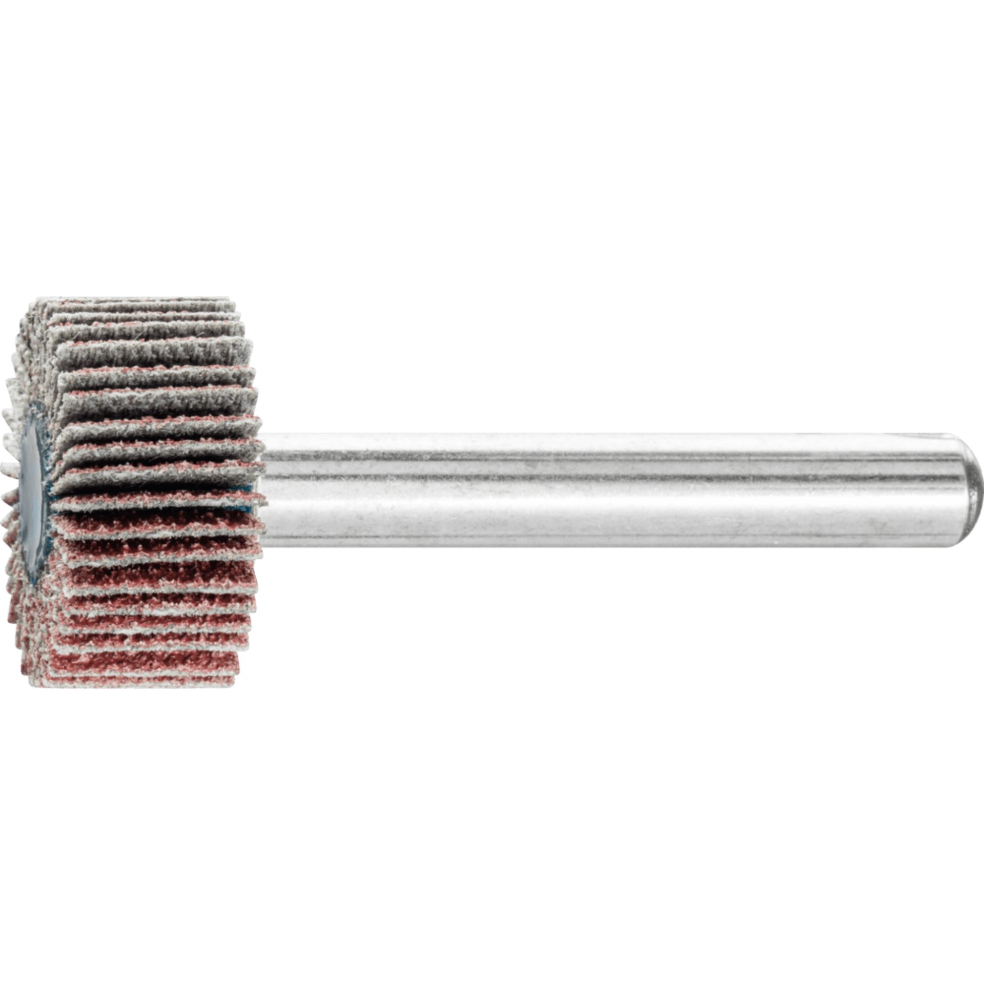PFERD TOOLS Fächerschleifwerkzeuge F 2010/6 A 80