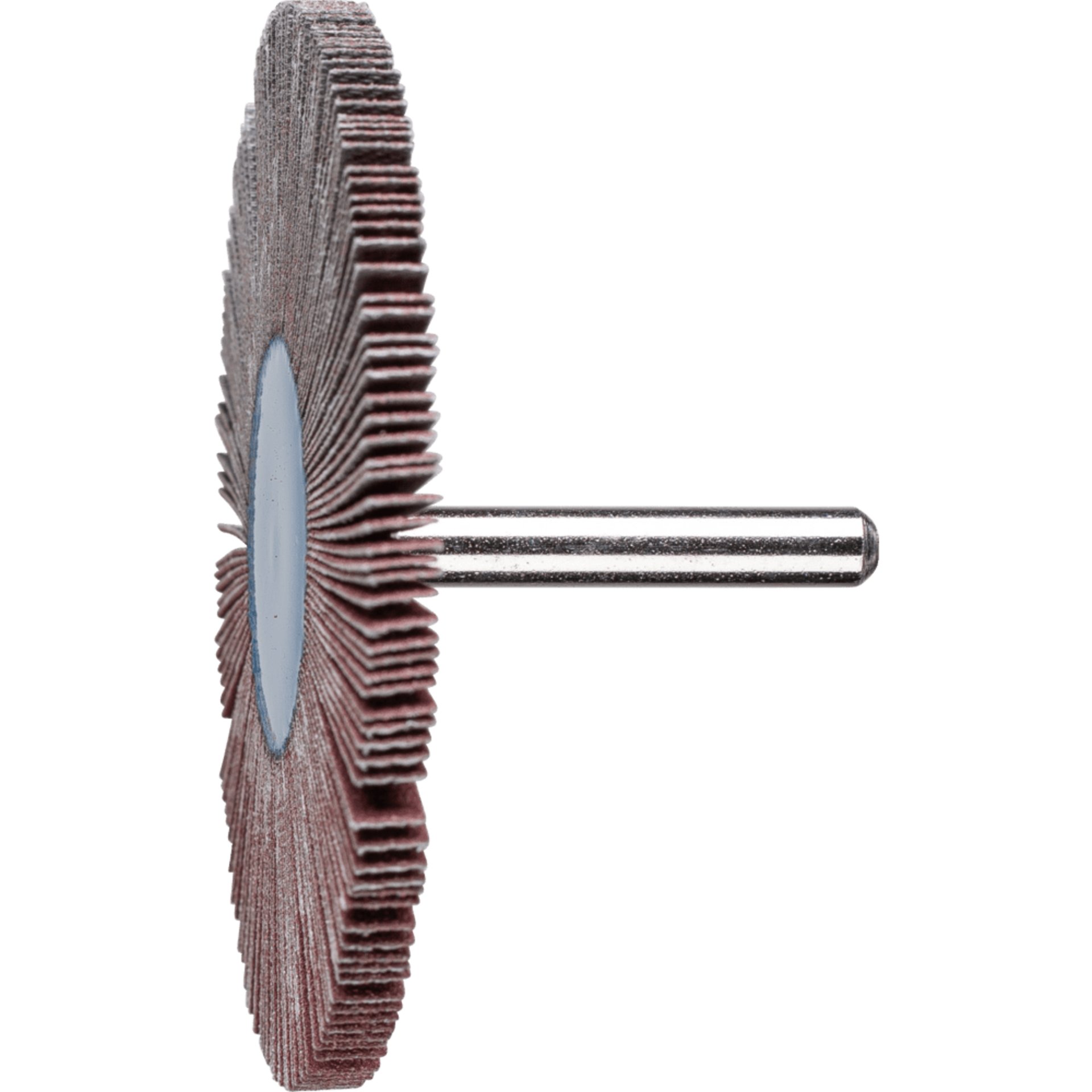 PFERD TOOLS Fächerschleifwerkzeuge F 8005/6 A 120
