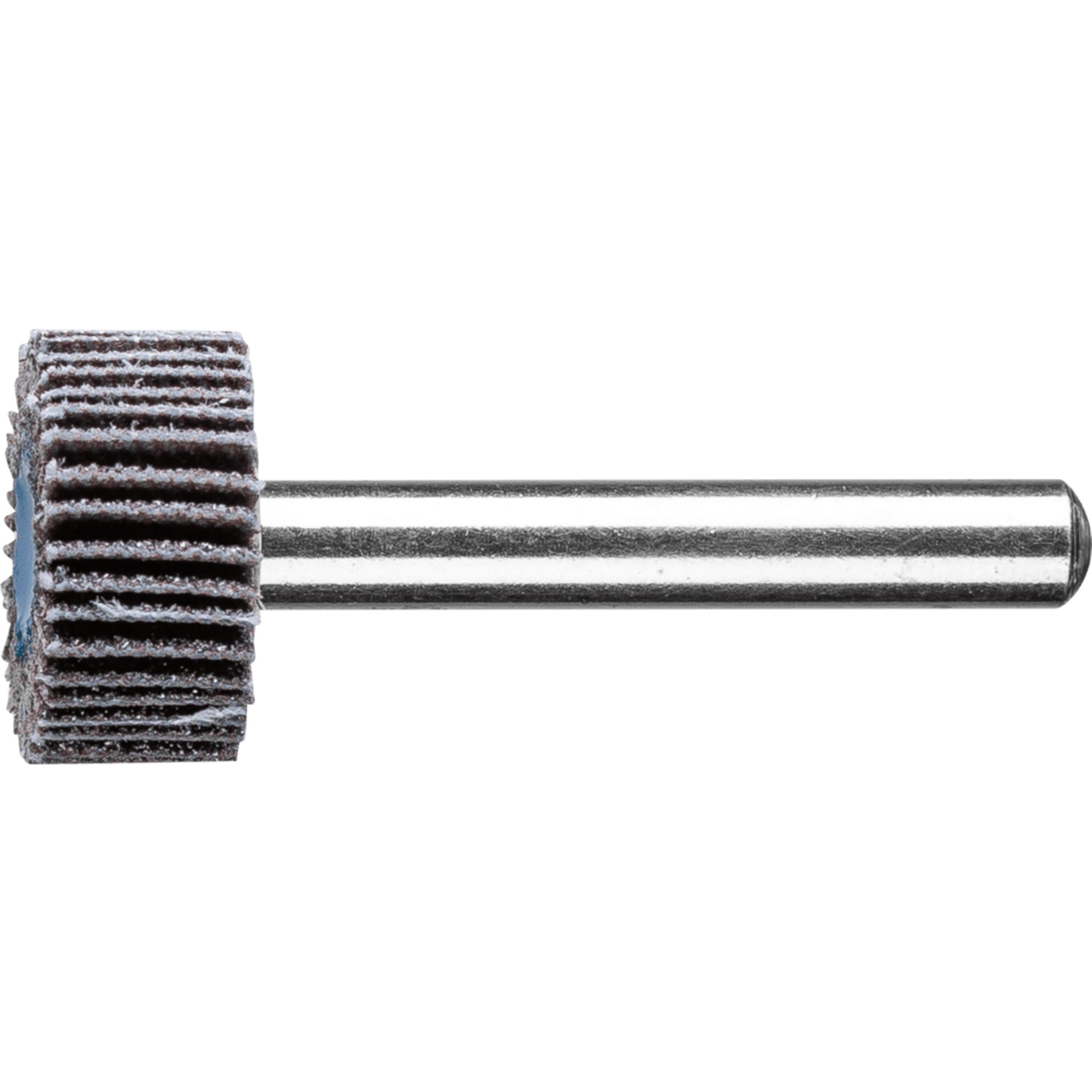 PFERD TOOLS Fächerschleifwerkzeuge F 2010/6 SiC 80