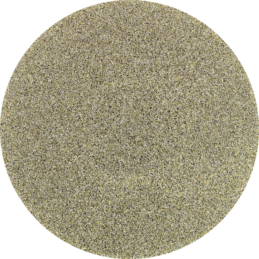 297809-1576031254.jpg