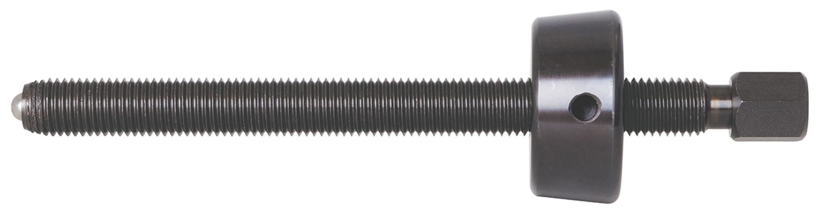 993755-1128495644.jpg