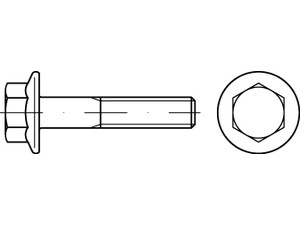 en-1665-8-8-m8-x-35-s.jpg